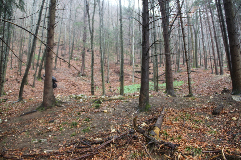 Blick hinauf zur zweiten Fundstelle © Thomas Zollinger